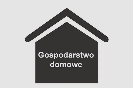Jaki macie dochód na gospodarstwo domowe? Sprawdzamy, co wpływa na wasze finanse
