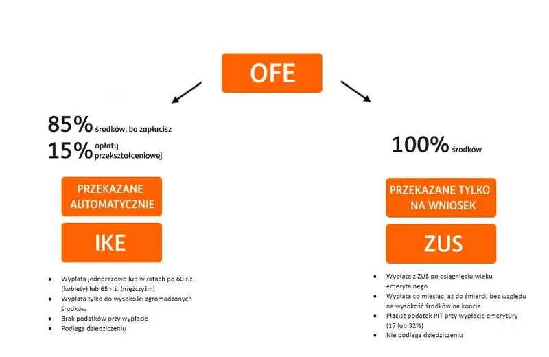 Kto stoi za zniknięciem pieniędzy z OFE? Sprawdź szczegóły!