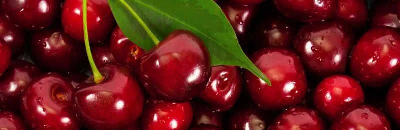 Analiza rynku wiśni i ceny skupu