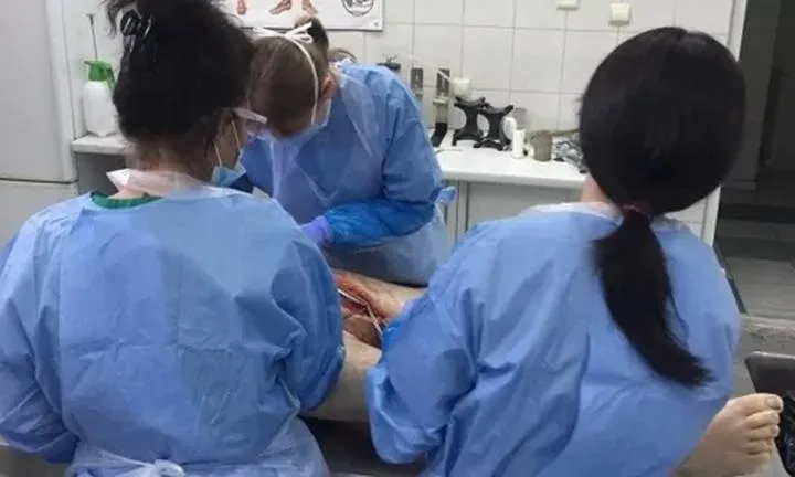 Czynniki wpływające na wynagrodzenie laboranta sekcyjnego