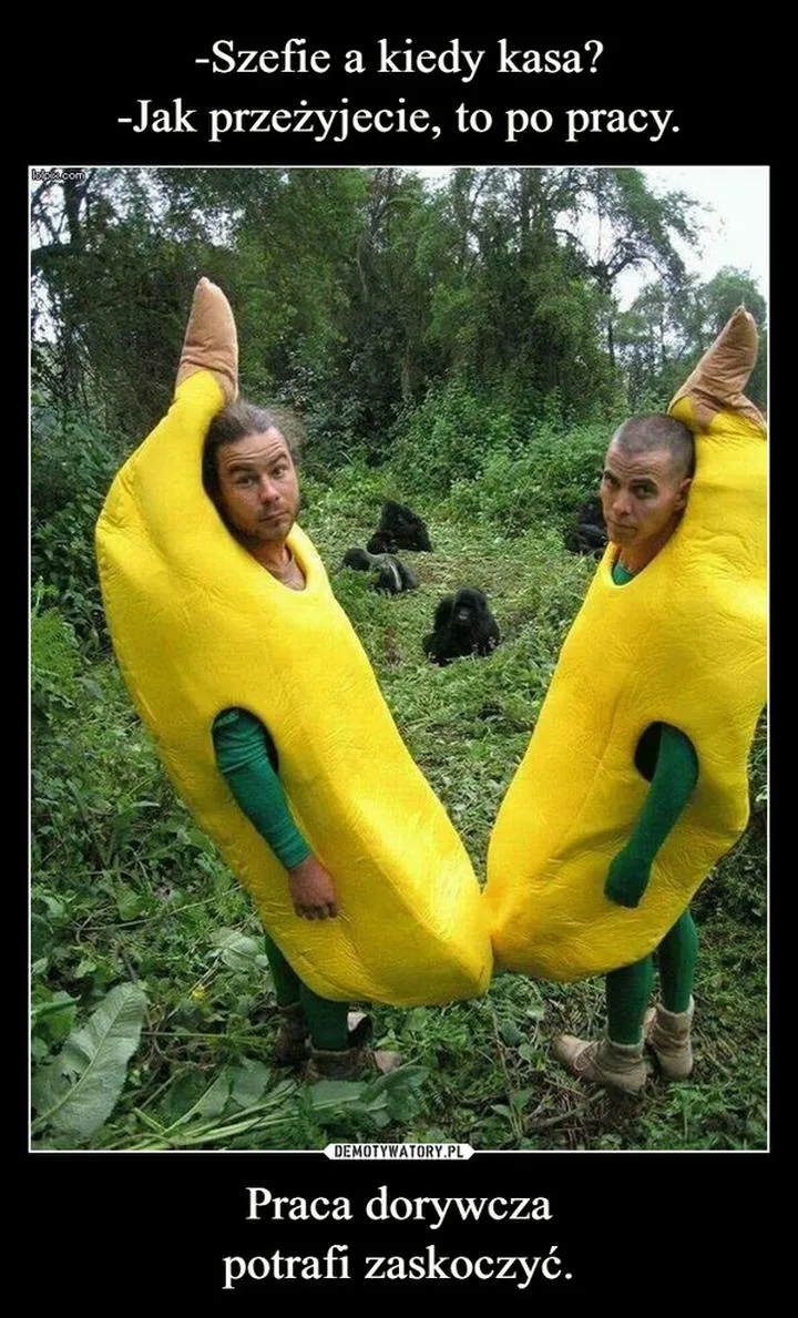 Trendy i zmiany na rynku zatrudnienia